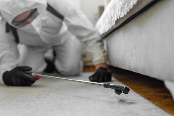 Professional Bed Bug Control technician working in Winfield, AL